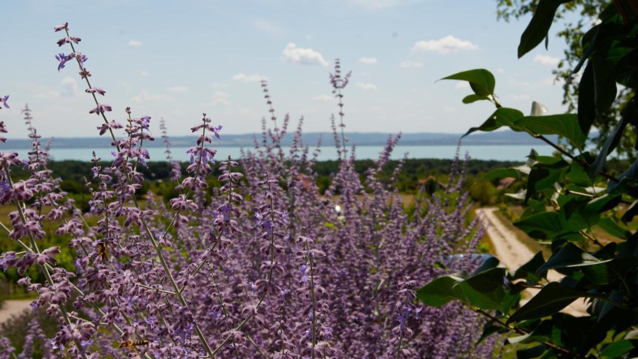 Fuerjes Udvarhaz Vaszoly Bagian luar foto
