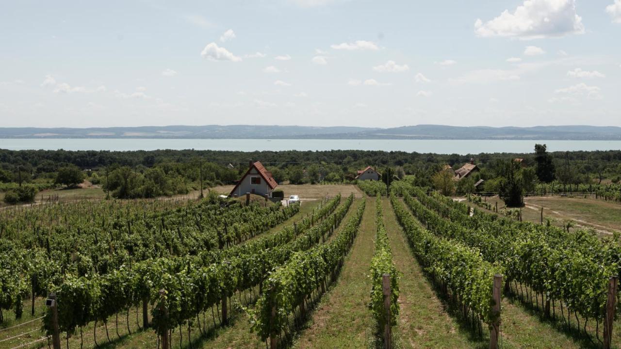 Fuerjes Udvarhaz Vaszoly Bagian luar foto